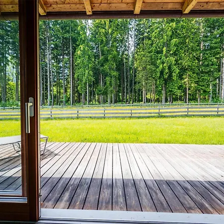 Chalet Siwitz 55